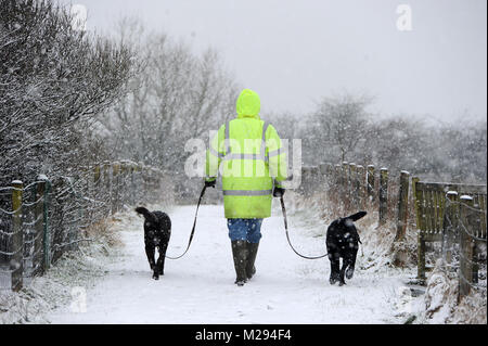 Affetside, Greater Manchester, UK. 6. Februar, 2018. Winterlichen Szenen für diesen Hund Walker an Affetside, Bury, Greater Manchester als Decke des Schnees bedeckt den Boden in, was erwartet wird, die kältesten Woche des Jahres zu sein. Bild von Paul Heyes, Dienstag, Februar 06, 2018. Credit: Paul Heyes/Alamy leben Nachrichten Stockfoto