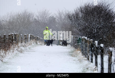 Affetside, Greater Manchester, UK. 6. Februar, 2018. Winterlichen Szenen für diesen Hund Walker an Affetside, Bury, Greater Manchester als Decke des Schnees bedeckt den Boden in, was erwartet wird, die kältesten Woche des Jahres zu sein. Bild von Paul Heyes, Dienstag, Februar 06, 2018. Credit: Paul Heyes/Alamy leben Nachrichten Stockfoto