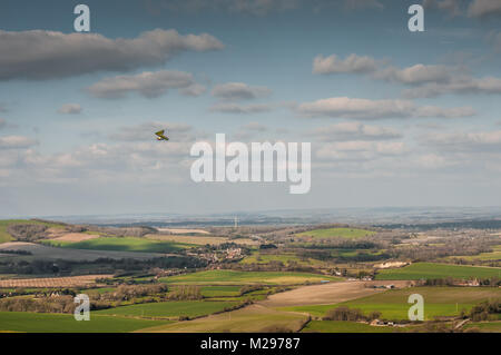 Firle Beacon. East Sussex. Februar 2018. Wetter in Großbritannien. Hardy erfahrene Hansegler-Piloten nutzen den kalt vorherrschenden Nordwind über die South Downs in der glorreichen Landschaft von Sussex. Stockfoto