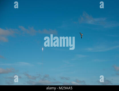 Falcon schweren Start in Florida Stockfoto