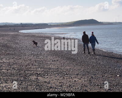 Gehen die Hunde auf Allonby Strand, Solway Firth, Cumbria, Vereinigtes Königreich Stockfoto