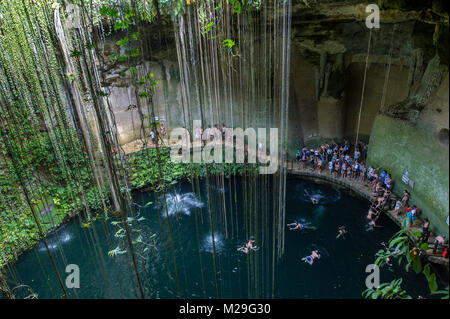 Touristen im Ikil Cenote schwimmen auf der Yukatan-Halbinsel in Mexiko Stockfoto