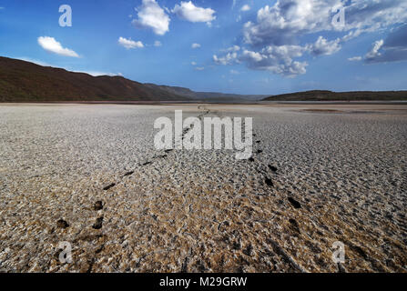 Fußabdrücke auf einem trockenen Teil des Lake Bogoria - Kenia Stockfoto