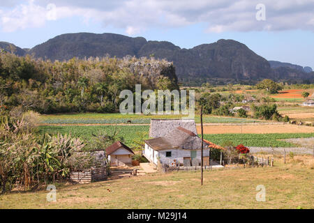 Dorf in Vinales Nationalpark, Kuba. Mogote Berge. Stockfoto