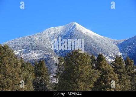 California, United States. Coconino National Forest mit Bergen von San Francisco Peaks. Mount Humphreys ist der höchste Punkt von Arizona. Stockfoto