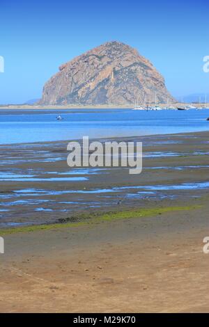 California, United States - Pacific coast. Morro Bay State Park (San Luis Obispo County). Stockfoto