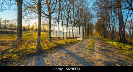 Fantastische Aussicht auf den Sonnenuntergang von einem Wald der Weg in Galizien, Spanien. Stockfoto