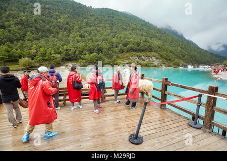 Lijiang, China - 22. September 2017: Touristen nehmen ein Bild mit Lama im White Water River in Blue Moon Valley, einem der China Travel Bestimmungen Stockfoto