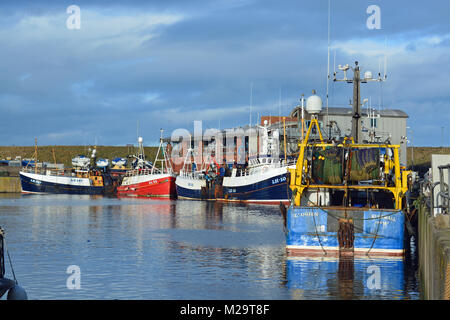 Fischerboote im Hafen von Eyemouth Stockfoto