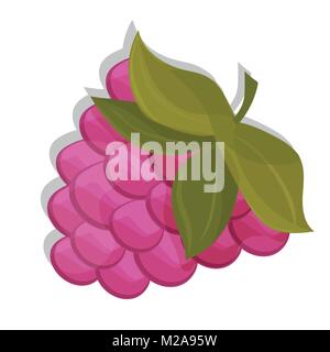 Sweet Berry auf weißem Hintergrund. Vektor icon. Himbeere Stock Vektor