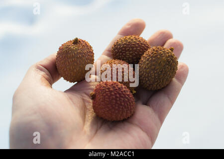 Litchi in der Hand auf der Straße frisches Obst in der hellen Sonne Stockfoto