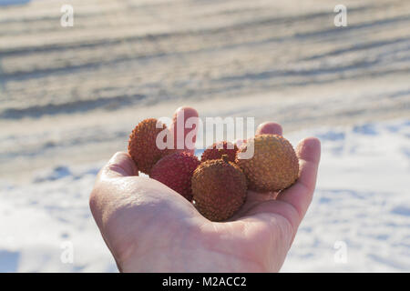 Litchi in der Hand auf der Straße frisches Obst in der hellen Sonne Stockfoto