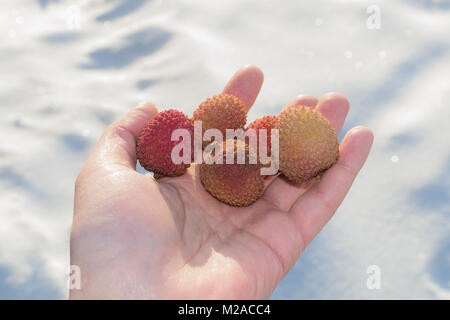 Litchi in der Hand auf der Straße frisches Obst in der hellen Sonne Stockfoto