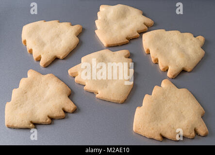 Mehrere frisch gebackene Baum geformt Weihnachtsplätzchen auf grauem Metall Backblech. Stockfoto
