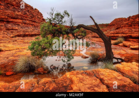 Australien Kings Canyon im Jahr 2015 getroffen Stockfoto