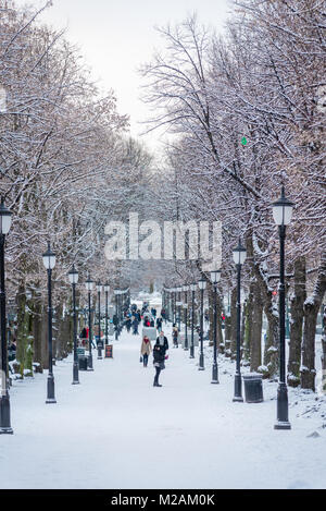 Karl Johans Gate, Oslo, Norwegen Stockfoto