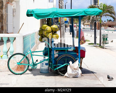 Mexikanische 3-Rad cargo bike Straßenhändler in Progresso Yucatan mit Kokosnüssen hängen von it und Palmen im Hintergrund Stockfoto