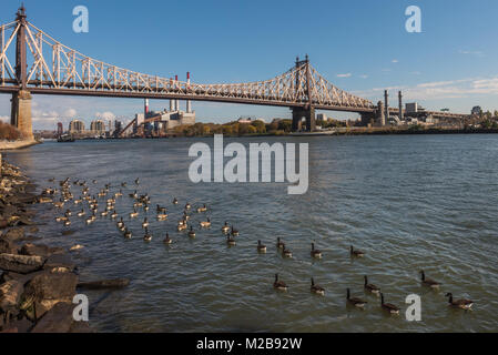 Ed Koch Queensboro Bridge Blick vom Rooseveld Insel zu Queens Stockfoto