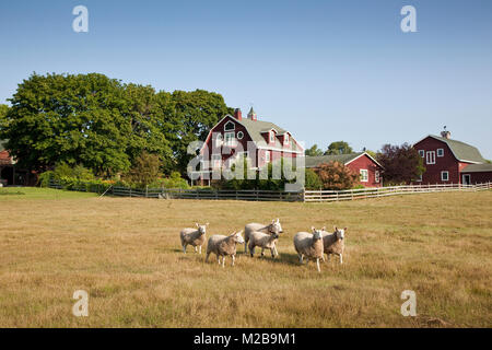 Die Schaf- und umgebauten Scheune, Chanticleer Inn, Door County, Wisconsin Stockfoto