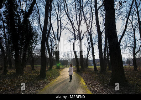 Eine schöne Frau allein einen Weg zwischen hohen Bäumen in einem Park im Winter. Die Strahlen der Sonne scheint durch die Bäume und Frau suchen kleine vergleichen. Stockfoto