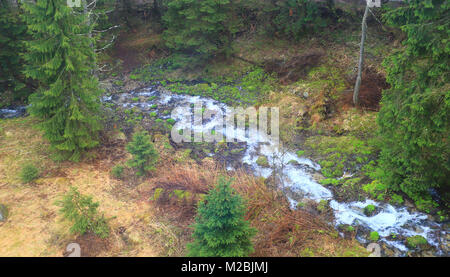 Berg сreek von oben. Luftbild bei Mountain River im grünen Wald. Stockfoto