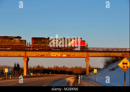 Eine kanadische Nationale Güterzug auf eine Überführung über die Autobahn 16 in der Nähe des Weilers von Gainford in Alberta, Kanada Stockfoto