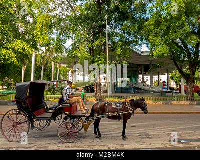 Kutsche warten außerhalb des Museo de la Revolucion (Museum der Revolution), Havanna, Kuba Stockfoto