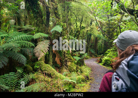 Neuseeland, Südinsel, Fox Glacier, Minnehaha entfernt. Regenwald. Paar wandern. Unesco-Weltkulturerbe. Stockfoto