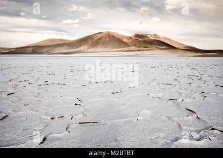 Salzkruste am Ufer der Lagune und salt lake Tuyajto, Anden Altiplano (Hochebene), Los Flamencos National Reserve, Atacama-wüste, Antofagasta Stockfoto