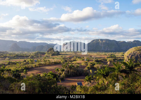 Tal von Vinales mit Mogotes, Pinar del Rio, Kuba Stockfoto