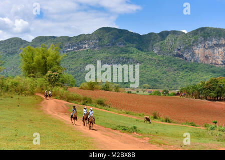 Touristen und ihre Führer Reiten im Tal von Vinales Pinar del Rio, Kuba Stockfoto