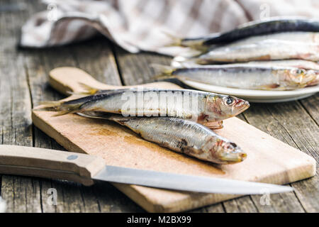 Raw Sardinen Fisch auf Schneidebrett. Stockfoto