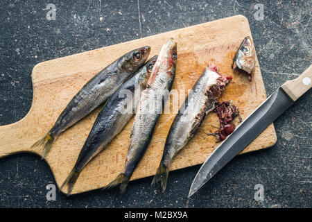 Zubereitete Sardinen Fisch auf Schneidebrett. Ansicht von oben. Stockfoto