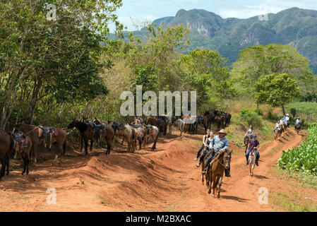 Touristen und ihre Führer Reiten im Tal von Vinales Pinar del Rio, Kuba Stockfoto