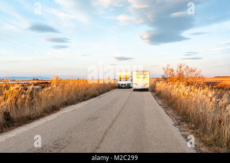 Enge Strasse mit Schilf und zwei Wohnmobile versuchen, Ebro Delta, Katalonien, Spanien Stockfoto