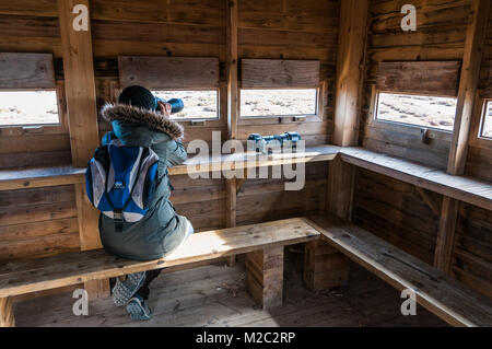 Die Frau mit dem Fernglas suchen in einer Vogelbeobachtung Tower, Ebro Delta, Katalonien, Spanien Stockfoto