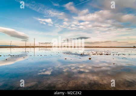 Reisfelder überflutet mit Wolken im Himmel, Ebro Delta, Katalonien, Spanien Stockfoto