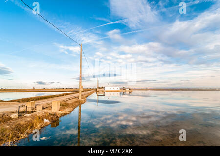 Der Straße auf ein Haus neben der Reisfelder überflutet mit Wolken im Himmel, Ebro Delta, Katalonien, Spanien Stockfoto