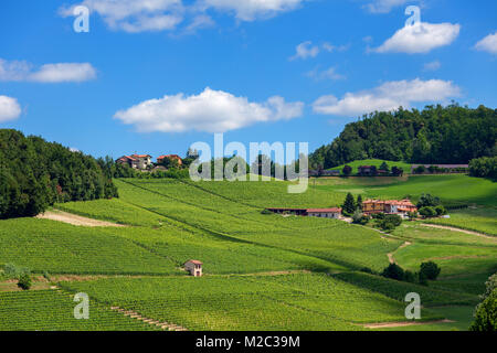 Grüne Weinberge auf dem Hügel unter blauen Himmel mit weißen Wolken in Piemont, Norditalien. Stockfoto