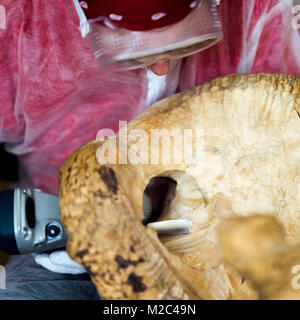 Man Holzschnitzer mit Brille Carving aus natürlichen Holz- stumpf close-up, edles Holz, Kunst Objekt für die Dekoration von Haus. Handgefertigte, Professionalität und Hobby Stockfoto