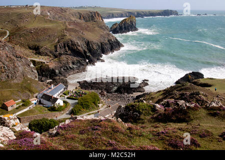 Blick hinunter auf Kynance Cove, Cornwall Stockfoto