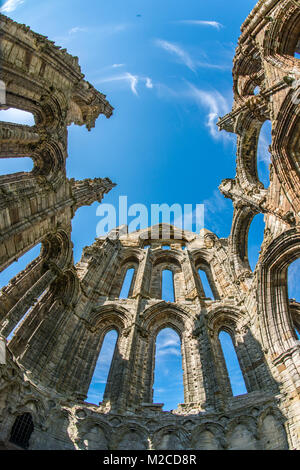 Auf der Suche nach oben in die Überreste von Whitby Abbey, Whitby, Yorkshire, Großbritannien Stockfoto