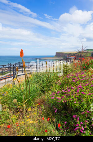 Blick Richtung huntcliff Klippen von oben Promenade an saltburn am Meer, North Yorkshire, England. Großbritannien Stockfoto