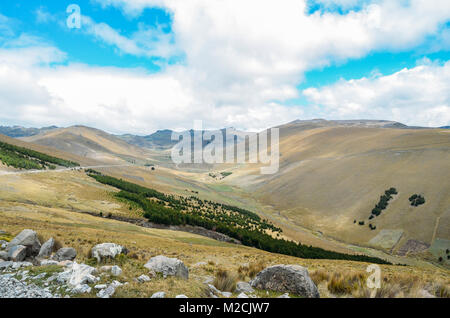 Andenlandschaft in Salinas de Guaranda, Bolivar Provinz, Ecuador, über 4.000 Meter Stockfoto