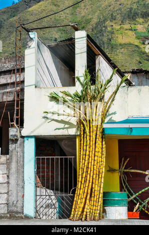 Schneiden Zuckerrohr Stücke an der Seite des Gebäudes im ländlichen Ecuador Stockfoto