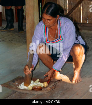 Lokale Quechua Ecuador Indigene Frau zerquetscht eine Art von Maniok, Yucca, in einer traditionellen Methode Stockfoto