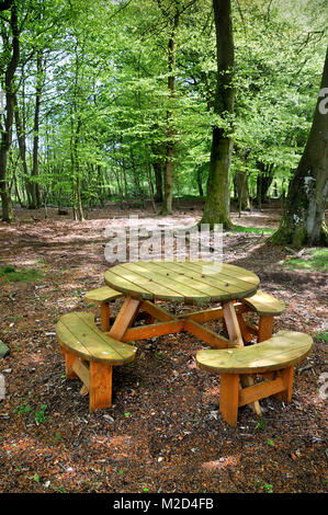 Ein rustikales Holz- Picknick Tisch und Bank in einem Buche im Sommer gelegen. Stockfoto