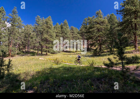 Kittredge, Colorado - ein Mountainbiker auf der Bear Creek Trail. Stockfoto