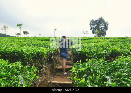 Ein Mädchen in der Mitte der Kaffee Plantage, Ciater, Subang Stockfoto