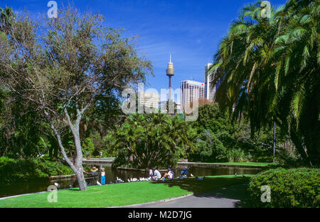 Der Sydney City Skyline von den wichtigsten Teich Abschnitt der Royal Botanic Gardens in Sydney, Australien gesehen. Stockfoto